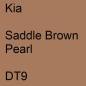 Preview: Kia, Saddle Brown Pearl, DT9.